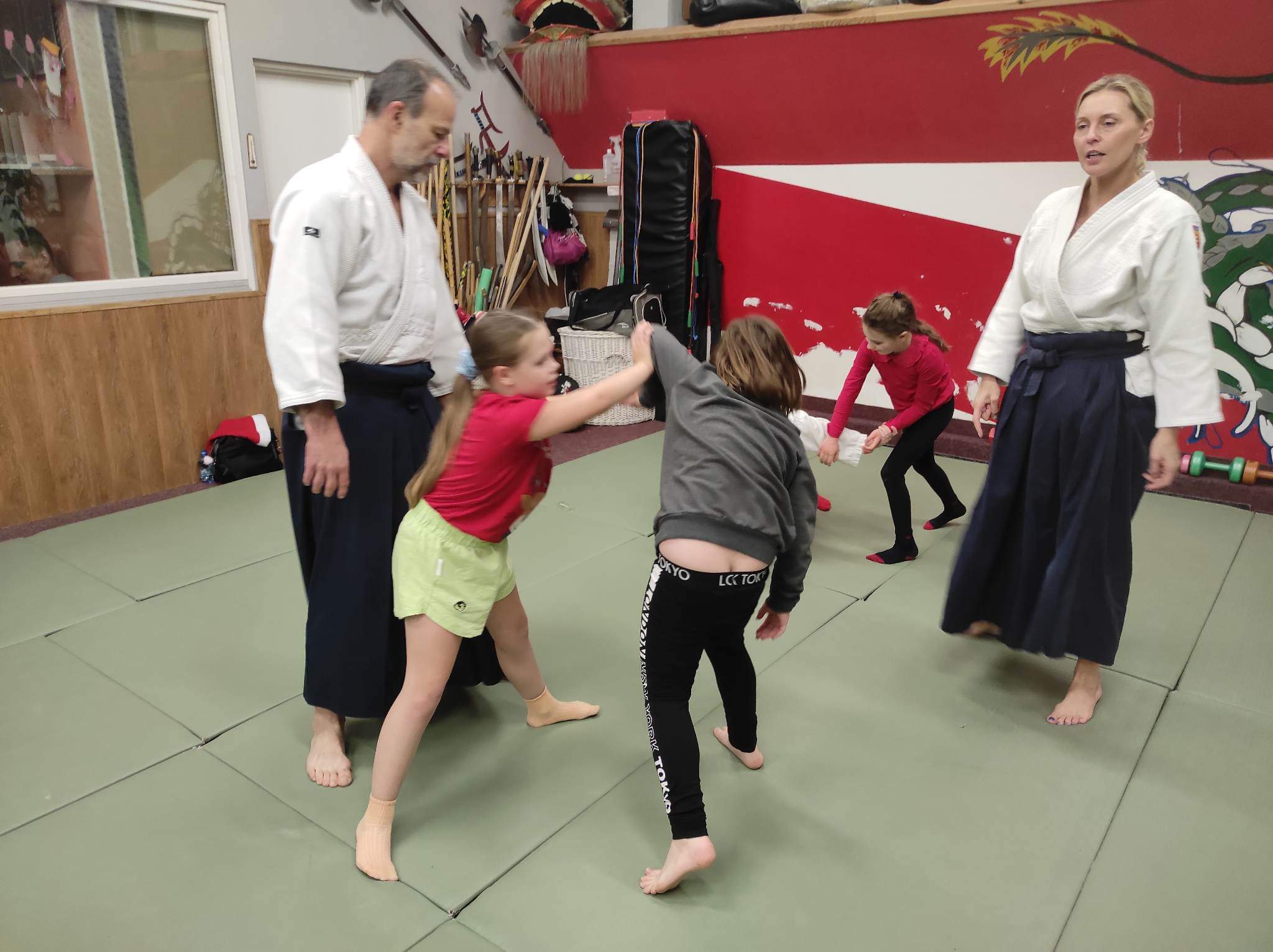 aikidogdynia6